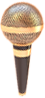 MIC