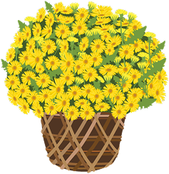 ảnh trang trí trái tết 2026 slider vip