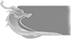 ảnh nền input left